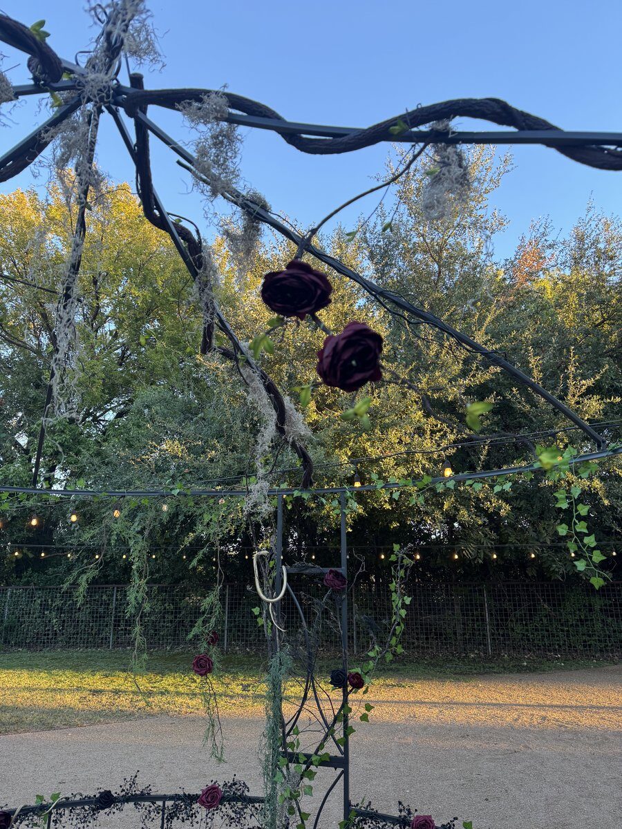 Custom Halloween balloon décor for themed event in San Antonio Texas